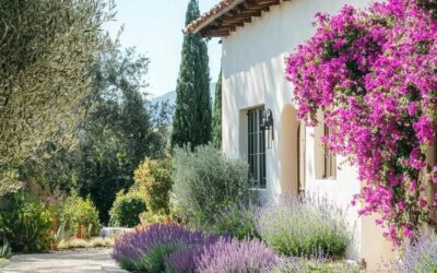 aménagement jardin Montpellier