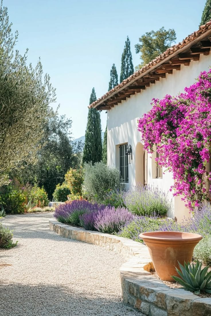 aménagement jardin Montpellier aménagement jardin Montpellier