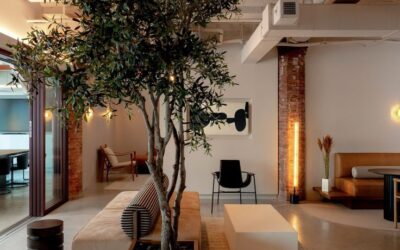 Décoration d&rsquo;intérieur pour les professionnels : comment un espace bien pensé transforme votre activité