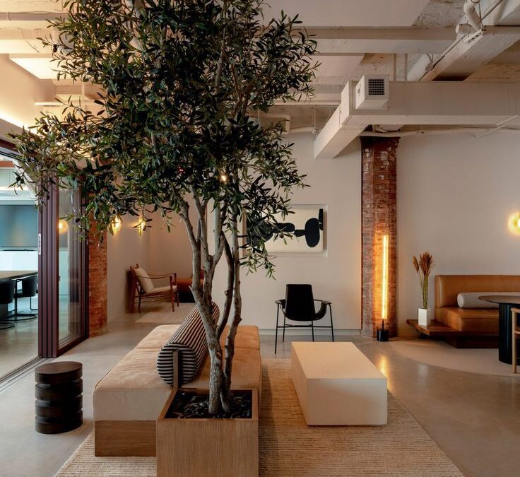Décoration d&rsquo;intérieur pour les professionnels : comment un espace bien pensé transforme votre activité